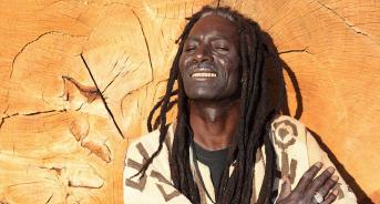 lamine